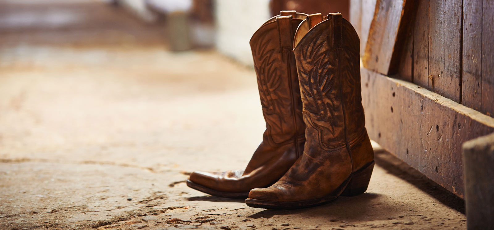 Cowboy boots in front of a wooden door.